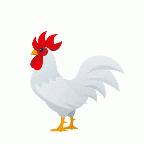 Hen Walking